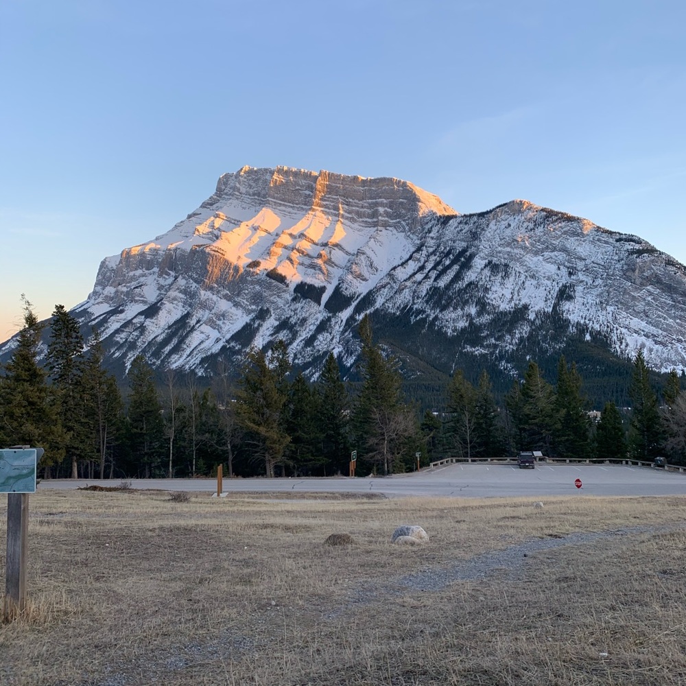 Meet your Posher, Ali